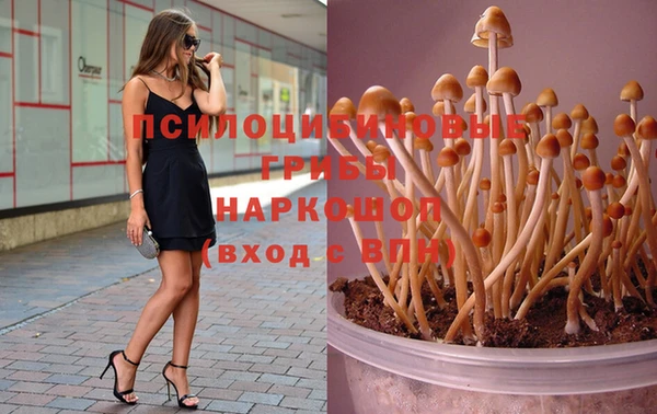 мет Пестово