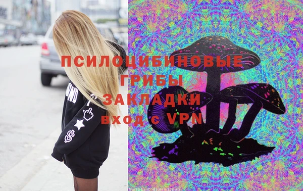 мяу мяу мука Алексеевка