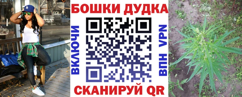 omg вход  Кадников  Конопля семена 